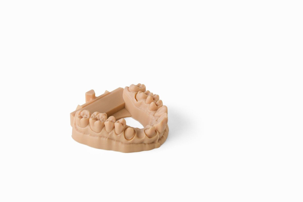 3D-printing-Models_1/Optimized_For_Web_JPEG-Dental-Model-Maxilla